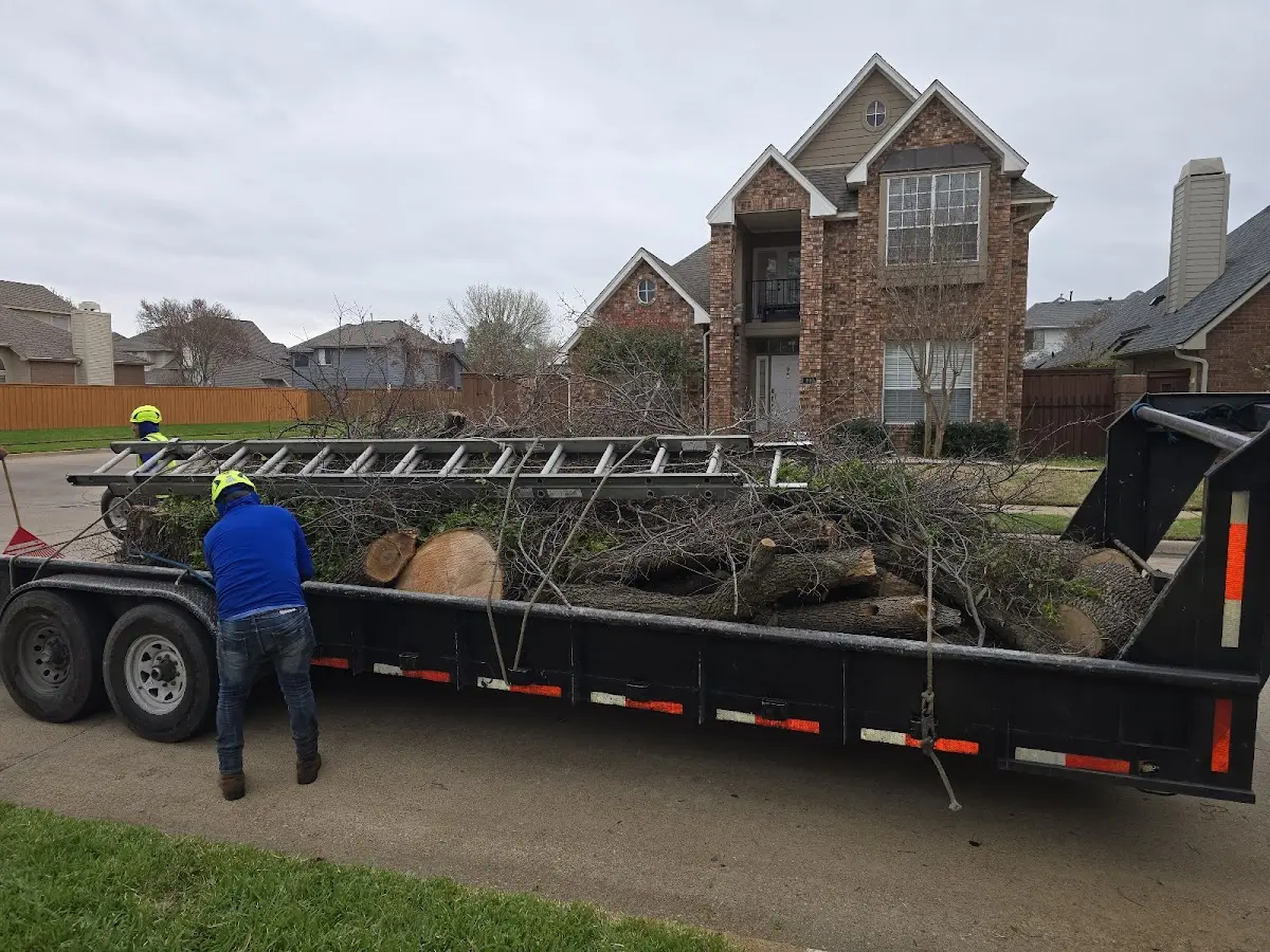 Expert Tree Pest Control with proper safety equipment in Crystal Spring